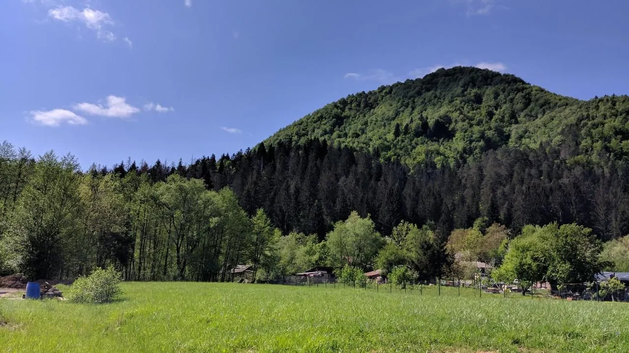 Vila Viktorija Brod na Kupi 3*,  Croatia